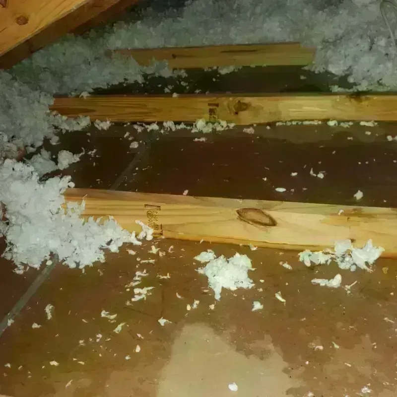 Attic Water Damage in Northwood, NH