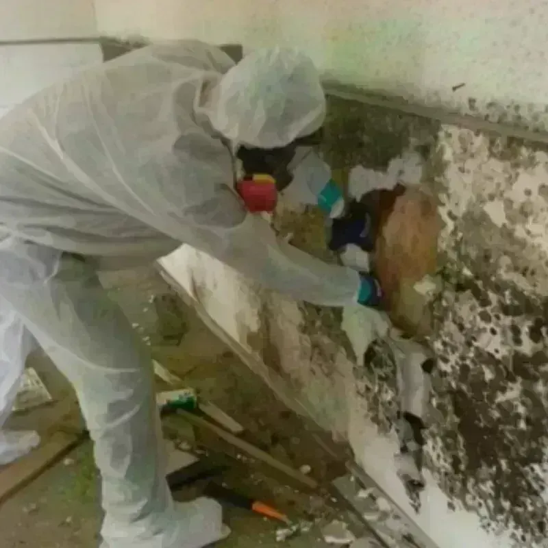 Mold Remediation and Removal in Northwood, NH